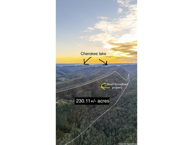 296.42+/- Acres | Grainger County, & Hawkins County Tennessee - photo 4