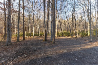 296.42+/- Acres | Grainger County, & Hawkins County Tennessee - photo 7