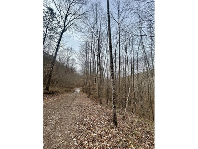 296.42+/- Acres | Grainger County, & Hawkins County Tennessee - photo 8