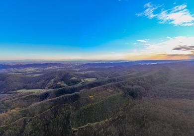 296.42+/- Acres | Grainger County, & Hawkins County Tennessee - photo 9