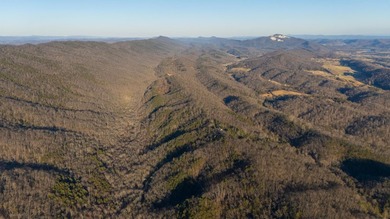 296.42+/- Acres | Grainger County, & Hawkins County Tennessee - photo 10