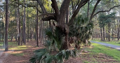 Experience the quiet magic of Daufuskie Island with this 0 - photo 1