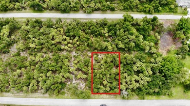 Port Charlotte Waterway Area Lot For Sale in Port Charlotte Florida