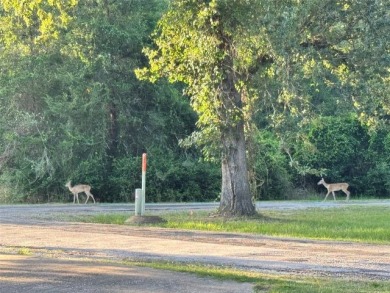 Surrounded by golf- right in the middle of it. Closest to tee box - photo 1