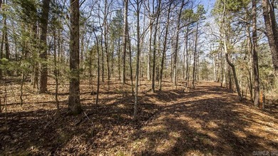 Greers Ferry Lake Acreage For Sale in Choctaw Arkansas