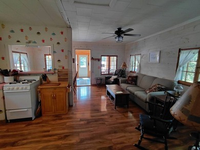 CAROGA LAKE!!! SUMMER IS HERE!!! Check out his darling cottage!! - photo 17