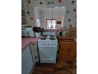 CAROGA LAKE!!! SUMMER IS HERE!!! Check out his darling cottage!! - photo 20