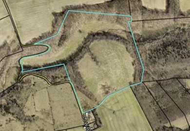 Gorgeous 61 acre farm in Russell County KY 30 acres in one - Lake Acreage For Sale in Russell Springs, Kentucky