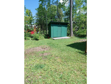 CAROGA LAKE!!! SUMMER IS HERE!!! Check out his darling cottage!! - photo 31
