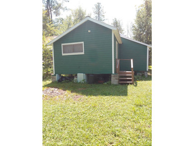 CAROGA LAKE!!! SUMMER IS HERE!!! Check out his darling cottage!! - photo 32