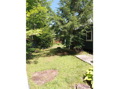 CAROGA LAKE!!! SUMMER IS HERE!!! Check out his darling cottage!! - photo 34