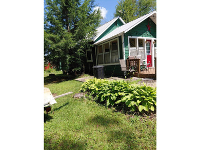 CAROGA LAKE!!! SUMMER IS HERE!!! Check out his darling cottage!! - photo 35