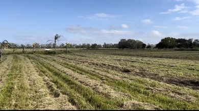 Beautiful 8.7 acres Discover the possibilities with this - photo 2