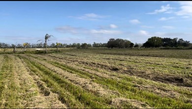 Beautiful 8.7 acres Discover the possibilities with this - photo 3