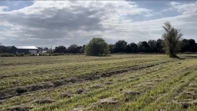 Beautiful 8.7 acres Discover the possibilities with this - photo 4