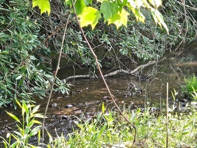 Your chance to own 3 acres of beautiful land with a creek on 2 - photo 3
