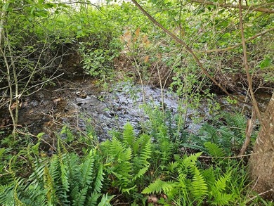 Your chance to own 3 acres of beautiful land with a creek on 2 - photo 4