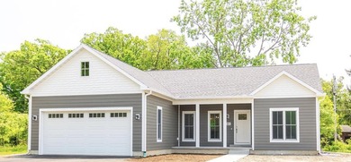 Lake Michigan - Berrien County Home For Sale in New Buffalo Michigan