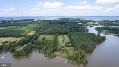 (private lake, pond, coastal) Acreage For Sale in Cambridge Maryland