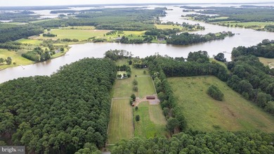 Picture this: waking up each morning on your own 10-acre - photo 5