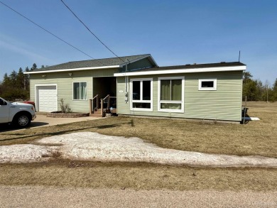 Lake Home For Sale in Little Lake, Michigan