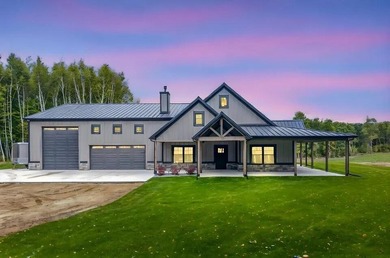 (private lake, pond, creek) Home For Sale in Remus Michigan