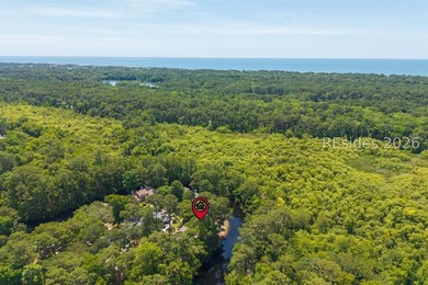Peaceful Sea Pines retreat with proven rental performance and a - photo 3