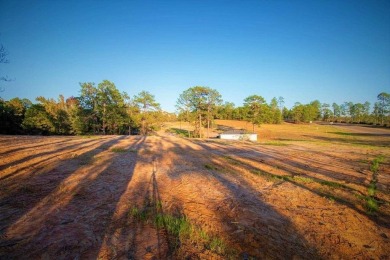 Lake Lot For Sale in Brookeland, Texas