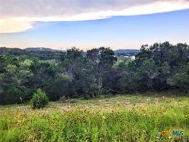 Located in our most treasured Hill Country Canyon Lake area - photo 1