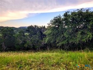 Located in our most treasured Hill Country Canyon Lake area - photo 4