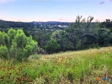 Located in our most treasured Hill Country Canyon Lake area - photo 6