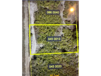 Lehigh Acres Area Lot For Sale in Lehigh Acres Florida