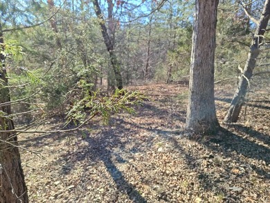 Ready to build subdivision lot overlooking the scenic Sequatchie - photo 11
