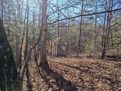 Ready to build subdivision lot overlooking the scenic Sequatchie - photo 12