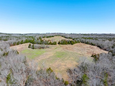 934 +/- Acre Working Cattle Ranch in Baxter County, Arkansas - photo 13