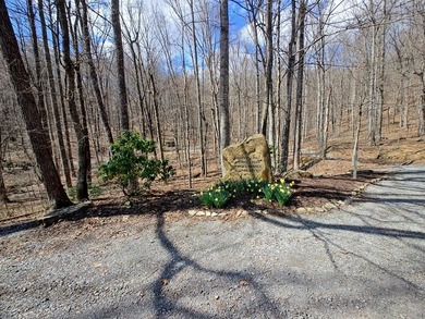 Ready to build subdivision lot overlooking the scenic Sequatchie - photo 14