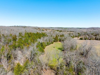 934 +/- Acre Working Cattle Ranch in Baxter County, Arkansas - photo 17