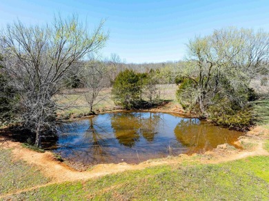 934 +/- Acre Working Cattle Ranch in Baxter County, Arkansas - photo 18