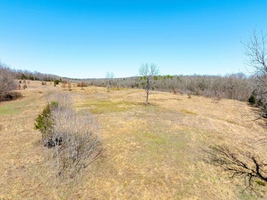 934 +/- Acre Working Cattle Ranch in Baxter County, Arkansas - photo 20