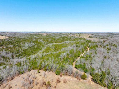 934 +/- Acre Working Cattle Ranch in Baxter County, Arkansas - photo 22