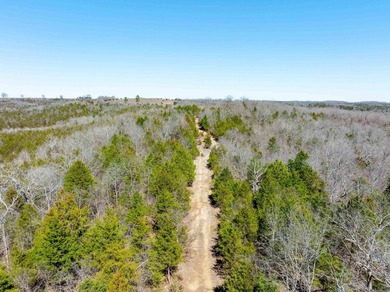 934 +/- Acre Working Cattle Ranch in Baxter County, Arkansas - photo 24