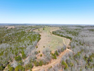 934 +/- Acre Working Cattle Ranch in Baxter County, Arkansas - photo 25
