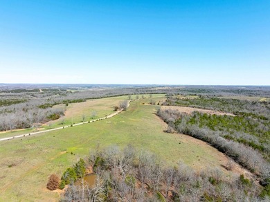 934 +/- Acre Working Cattle Ranch in Baxter County, Arkansas - photo 27