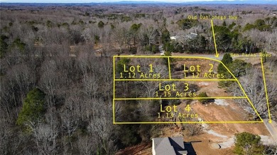Lake Lanier Lot For Sale in Murrayville Georgia
