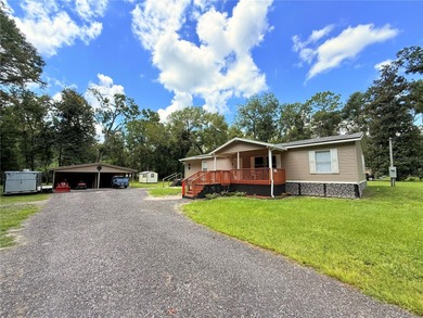 Suwannee River Home For Sale in Branford Florida