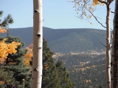 Monte Verde Lake - Colfax County Acreage For Sale in Angel Fire New Mexico