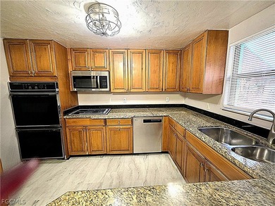 DREAM Kitchen for the family chef. DOUBLE wall oven mounted in - photo 1