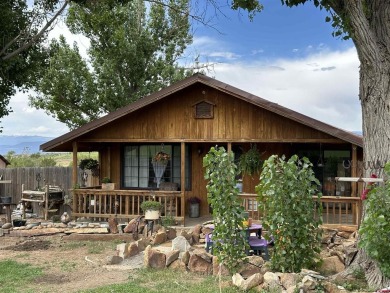Lake Home For Sale in Crawford, Colorado