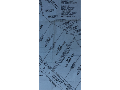 Exclusive Lakefront Property - photo 8
