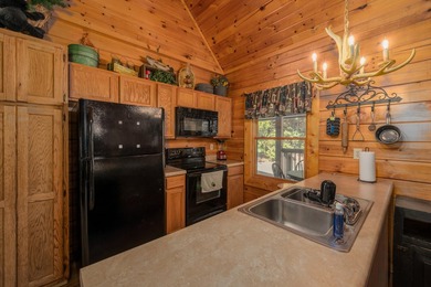 Want the Lake Life? This is it! This 2 bedroom, 2 bath cabin is - photo 7